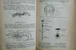 Caustier HISTOIRE NATURELLE 1906 29,00 ? Caustier E HISTOIRE NATURELLE (anatomie, physiologie, paléontologie) Paris, Vuibert, 1906, reliure percaline ...