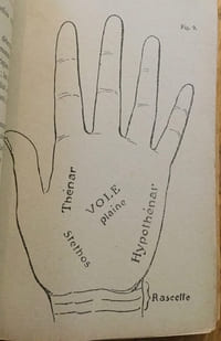 Votre main, votre destin… Traité pratique de chiromancie.