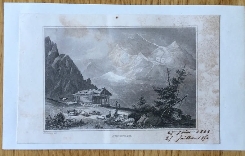 Gravure suisse : Jungfrau. Schuler