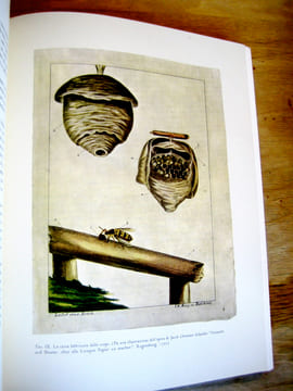 Carta. Cartiere Burgo.. Rusconi (Carlo. E.)