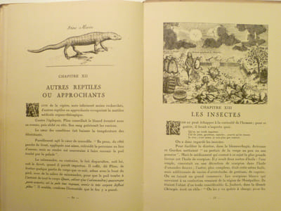 A travers l'Opothérapie.