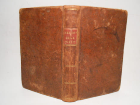 Le triomphe de la pureté, sous les auspices de Jésus, l'époux des vierges, et de Marie, Leur Reine et Modèle.. ANONYME,