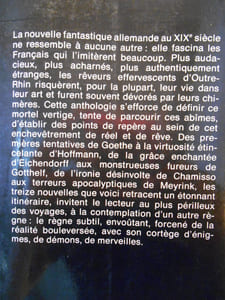 L'Allemagne fantastique de Goethe à Meyrink. 13 contes énigmatiques, démoniaques et merveilleux.