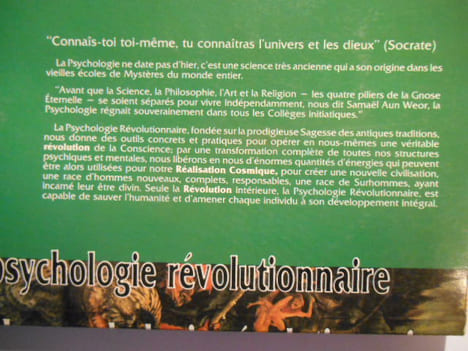 La psychologie révolutionnaire. Gnose au xxe siècle. Suivi de La transformation des impressions.. SAMAËL AUN WEOR,