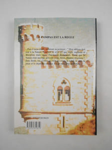 Le compas est la règle. Périple autour de Rennes le Château. Éléments d'une résolution.