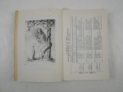 Essais de Sciences Maudites II : Le Serpent de la Genèse - Première septaine (Livre I) : Le Temple de Satan.