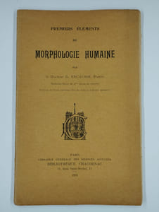Premiers éléments de morphologie humaine.