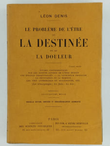 Le problème de l'être, de la destinée et de la douleur.