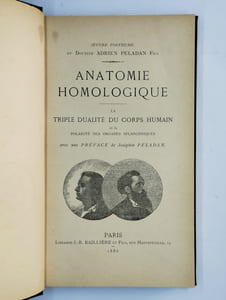 Anatomie homologique. La triple dualité du corps humain et la polarité des organes splanchiques.