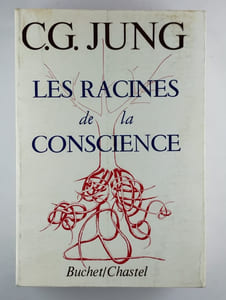 Les racines de la conscience. Etudes sur l'archétype.