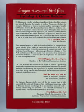 Dragon rises, red bird flies. Psychology & Chinese Medicine.. HAMMER Leon,