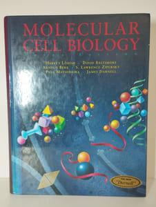Molecular cell biology.