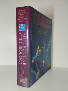 Molecular cell biology.