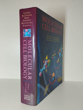 Molecular cell biology.. LODISH Harvey, BALTIMORE David, BERK Arnold, ZIPURSKY S. Lawrence, MATSUDAIRA Paul, DARNELL James,