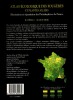PRELLI - BOUDRIE ATLAS ECOLOGIQUE DES FOUGERES ET PLANTES ALLIEES Lechevalier . PRELLI - BOUDRIE
