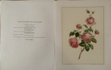 COLLECTION DE DOUZE BOUQUETS PAR JOHN EDWARDS Librairie Denis 1940. John Edwards