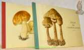 Atlas des champignons. Volume I: Champignons de fin d’été et d’automne. Volume II: Champignons du printemps a la fin de l’été.. STUSSI, B. (texte ...