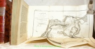 Helvetien unter den Römern. Erster Theil: Geschichte der Helvetier unter den Römern. Zweyter Theil: Topographie von Helvetien unter den Römern. Mit ...