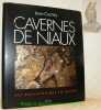 Les cavernes de Niaux. Art préhistorique en Ariège. Collection “Arts Rupestres”.. CLOTTES, Jean.
