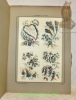 Fleurs Oiseaux et Fantaisies par J. Pillement 1719-1808.. Pillement, J.