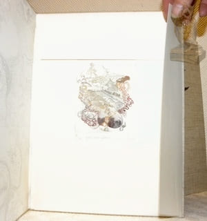 Catalogue raisonné de l’oeuvre gravé et lithographié de A.-E. Yersin. Etabli par Françoise Simecek.. YERSIN, A.-E. - SIMECEK, Françoise.