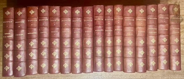 Oeuvres complètes de Buffon avec la nomenclature linnéenne et la classification de Cuvier. Revues sur l’édition in-4° de l’Imprimerie Royale et annotées par M. Flourens. Nouvelle édition illustrée de 150 planches gravées sur acier, d’après les dessins de MM. Traviès et Henry Gobin et coloriées avec le plus grand soin. 12 Volumes. Avec Oeuvres de Cuvier et Lacépède contenant le complément de Buffon à l’histoire des mammifères et des oiseaux. L’histoire des cétacés, batraciens, serpents et poissons. Illustrés de 50 planches, environ 125 sujets coloriés avec le plus grand soin d’après le Règne Animal de Cuvier, édition V. Masson. Supplément aux Oeuvres complètes de Buffon, annotées par M. Flourens. 4 Volumes. (En tout 16 volumes, complets).