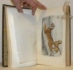 Oeuvres complètes de Buffon avec la nomenclature linnéenne et la classification de Cuvier. Revues sur l’édition in-4° de l’Imprimerie Royale et annotées par M. Flourens. Nouvelle édition illustrée de 150 planches gravées sur acier, d’après les dessins de MM. Traviès et Henry Gobin et coloriées avec le plus grand soin. 12 Volumes. Avec Oeuvres de Cuvier et Lacépède contenant le complément de Buffon à l’histoire des mammifères et des oiseaux. L’histoire des cétacés, batraciens, serpents et poissons. Illustrés de 50 planches, environ 125 sujets coloriés avec le plus grand soin d’après le Règne Animal de Cuvier, édition V. Masson. Supplément aux Oeuvres complètes de Buffon, annotées par M. Flourens. 4 Volumes. (En tout 16 volumes, complets).