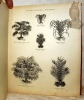 Album de clichés électrotypes Kupferniederschlaege. Comprenant toutes les Illustrations des Ouvrages et Catalogues publiés par Vilmorin-Andrieux & ...
