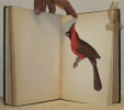 Ornithologie du salon. Synonymie, description, moeurs, nourriture des oiseaux de volière européens et exotiques. Ornée de 75 vignettes et de 40 ...