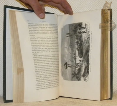 Explorations du Zambèse et de ses affluents et découverte des Lacs Chiroua et Nyassa 1858-1864. Ouvrage traduit de l’anglais avec l’autorisation de ...