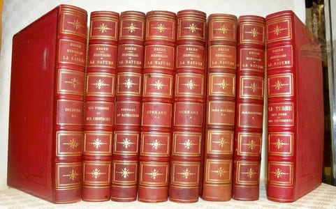 Les merveilles de la nature. L’Homme et les animaux. 8 Volumes. La Terre. Les Mers et les Continents, 1 volume. - Les Mammifères, 2 volumes. - Les Oiseaux, 2 volumes. - Les Reptiles et les Batraciens, 1 volume. - Les Poissons et les Crustacés, 1 volume. - Les Insectes, 1 volume (tome 2).