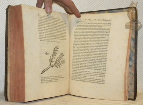 Instruction pour les jardins fruitiers et potagers. Avec un Traité des Orangers. Et des réfléxions sur l’agriculture. Nouvelle édition revüe, ...