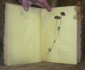 Herbier offert à G. Gottrau par R. P. Romualt à la Valsainte. 128 Herbes avec leur noms en latin et commun.. R. P. Romualt.