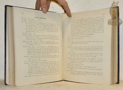 New light on the Gathas of Holy Zarathushtra : with the transliteration of the corrected original text in English, and Devanagari scripts of all the strophes of the seven Yasnas of Ahunavaiti G th  and their translation in English prose (...) with full notes, explanation, grammar, etc. .. Notes and Eassys (Essays) translated by P. P. Balsara.
