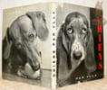 Chiens. Pr&eacute;face de C.-A. Cingria. Collection Merveilles du Monde.. YLLA.