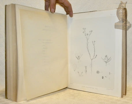 Karpathos. Etude géologique, paléontologique et botanique. Avec treize planches par Ch. Cuisin et deux planches en phototypie.. DE STEFANI, Carlo. - ...