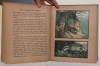 The Animal Why Book.. PYCRAFT, W. P. - NOBLE, Edwin.