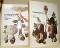 Champignons. Tome 1: Les champignons à lamelles. Tome 2: Les champignons sans lamelles. Photos et illustrations de Fred Waldvogel.. SCHLITTER, Jakob.