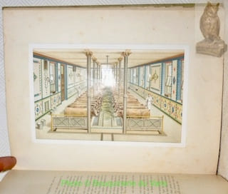 Le livre d’or de la santé des animaux domestiques. Memento pratique de zootechnie et d’hygiène des animaux domestiques permettant de reconnaître et de ...