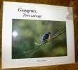 Grangettes, Terre sauvage.. AUBORT, Daniel.