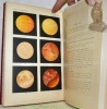 Atlas der gynäkologischen Cystoskopie.Mit 14 lithographischen Tafeln.. STOECKEL, W.