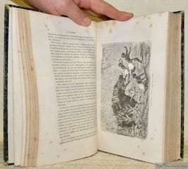 Explorations du Zambèse et de ses affluents et découverte des Lacs Chiroua et Nyassa 1858-1864. Traduit de l’anglais avec l’autorisation de l’auteur ...