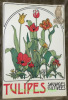 Tulipes sauvages et cultivées. Série documentaire 13 des Consercatoire et Jardin botaniques.. STORK, Adélaide L.