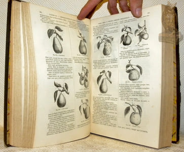 Le livre de la ferme et des maisons de campagne. Par une réunion d’agronomes, de savants et de praticiens. Nouvelle édition entièrement refondue (6e tirage). Directeur M. Pierre Joigneaux. 2 Volumes. I: Agriculture proprement dite. - Zootechnie. II: Arboriculture. - Viticulture. Horticulture. Sylviculture. - Connaissances utiles.