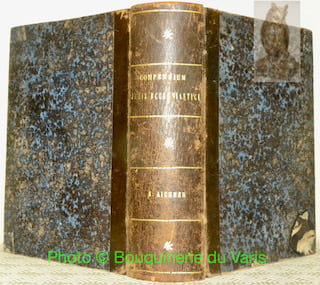 Compendium Juris Ecclesiastici ad usum Cleri, ac praesertim per Imperium Austriacum, in cura Animarum Laborantis.Editio tertia novis curis recognita ...