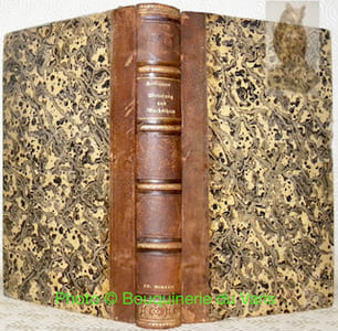 Witterung und Wachsthum oder Grundzüge der Pflanzenklimatologie. Mit einer lithographirten Tafel in Farbendruck.
