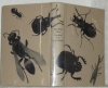 Souvenirs d’un entomologiste. Introduction de Jean Rostand. Photographies de Pierre Auradon. Collection Découverte de la Terre.. FABRE, Jean-Henri.