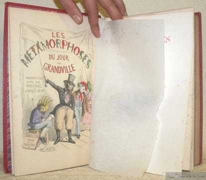 Les métamorphoses du jour. Accompagnées d’un Texte par MM. Albéric Second, Louis Lurine, Clément Caraguel, Taxile Delord, H. de Beaulieu, Louis Huart, ...