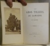 Le gros Tilleul de Samoens.. RIONDEL, F.-D.