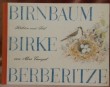 Birnbaum Birke Berberitze. Eine Geschichte aus den Bündner Bergen.. CARIGIET, Alois.